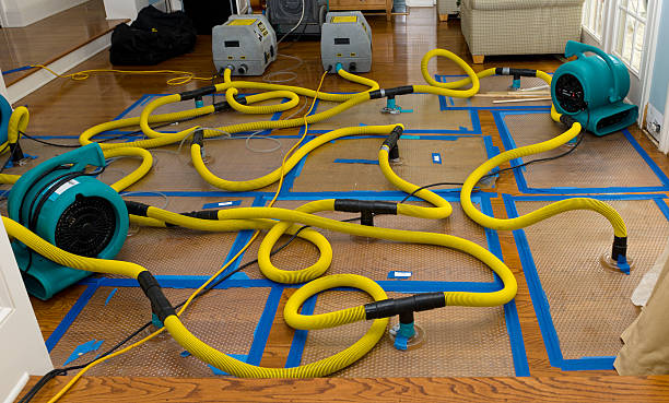 Professional Crawl Space Water Removal technician working in Pilot Point, TX